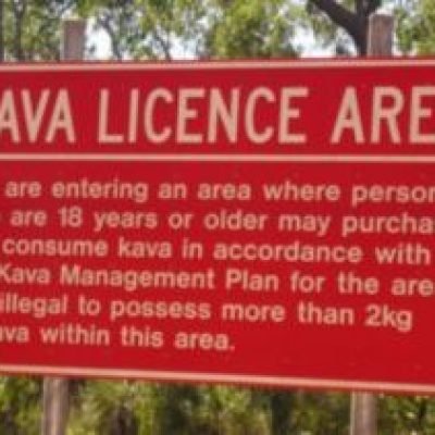 Does Kava Work for Anxiety? What the Trials Actually Show